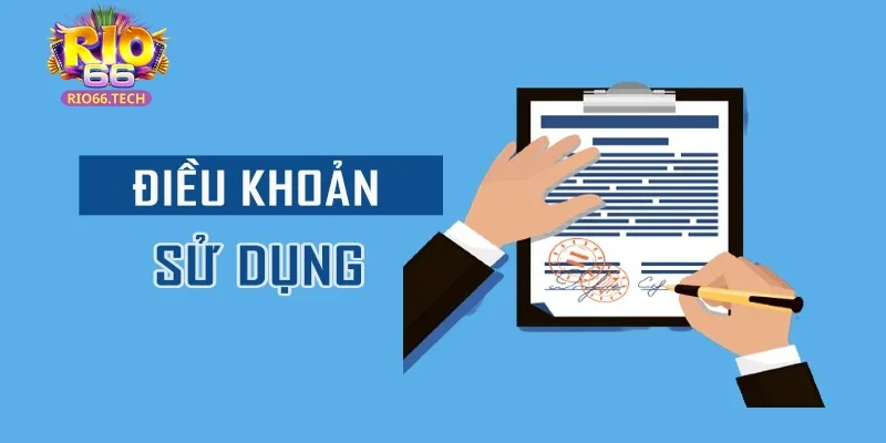 Vài nét tổng quan về điều khoản sử dụng Rio66